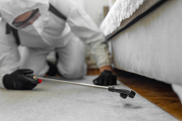 Professional Termite Control technician working in Laredo, TX