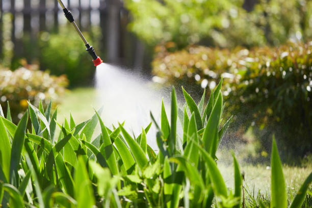 24/7 Emergency Termite Control experts in Laredo, TX