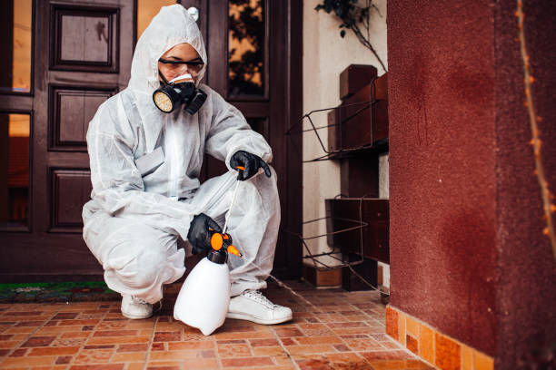 Reliable Termite Control contractor in Laredo, TX by Nex Pest Control